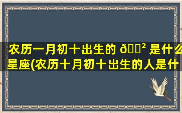 农历一月初十出生的 🌲 是什么星座(农历十月初十出生的人是什么星座)